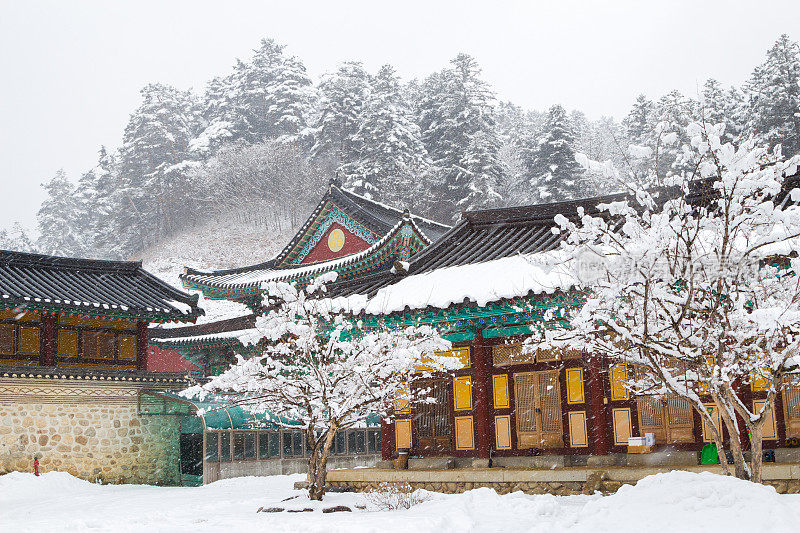 韩国的亚洲寺庙Odaesan Woljeongsa有雪